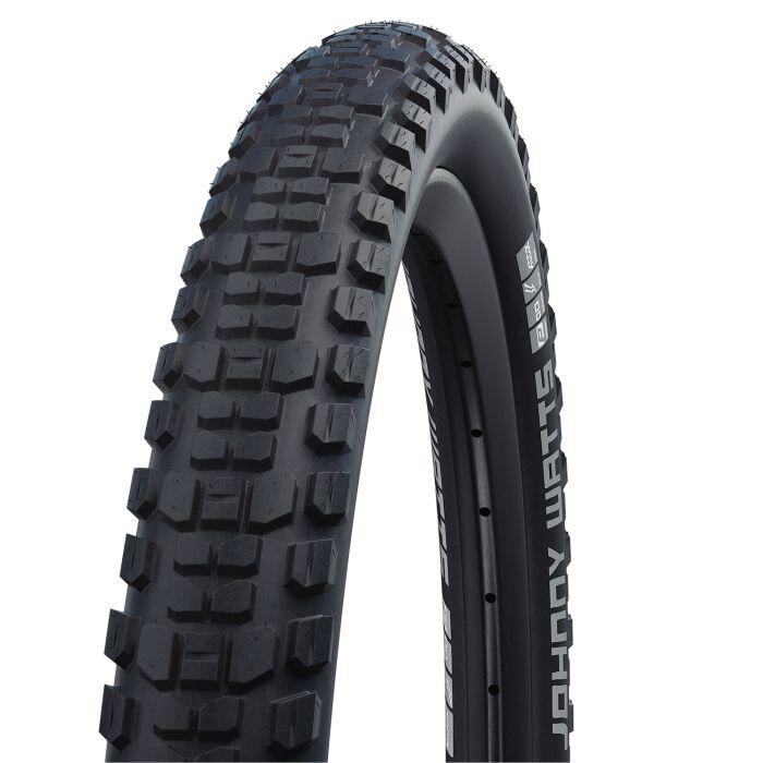 SCHWALBE picture