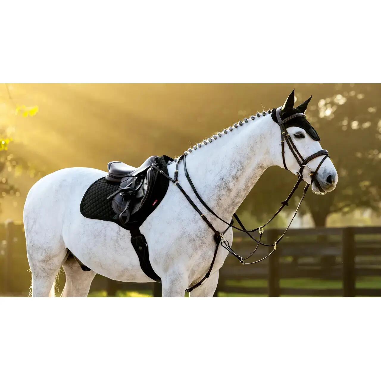 Dressuurmat voor paarden LeMieux Brilliance Close Contact Square 3/7