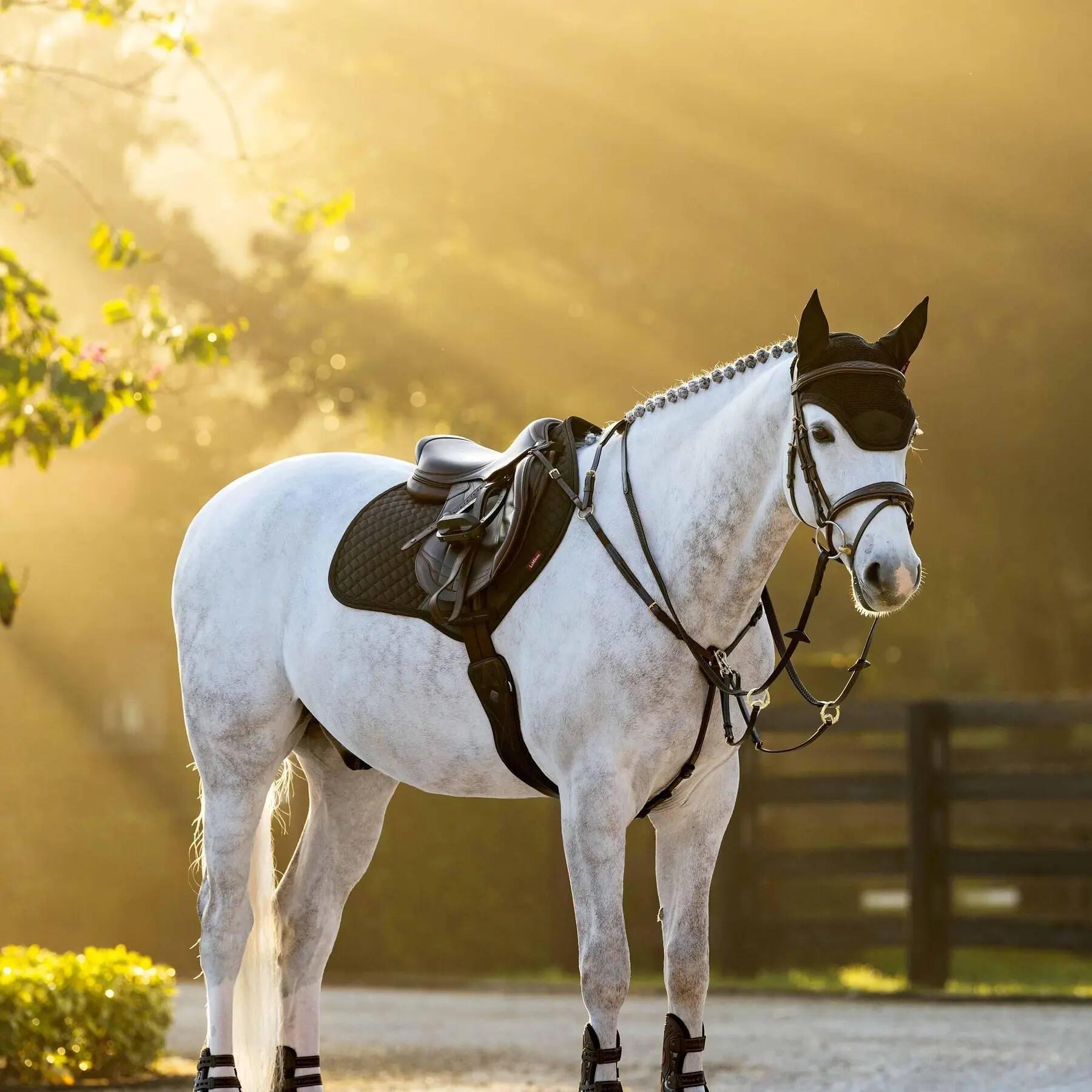 Dressuurmat voor paarden LeMieux Brilliance Close Contact Square 2/7