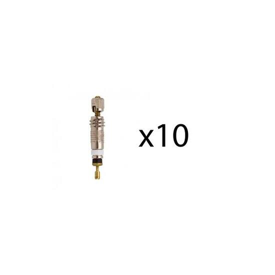 Obus de valve Massi 10U