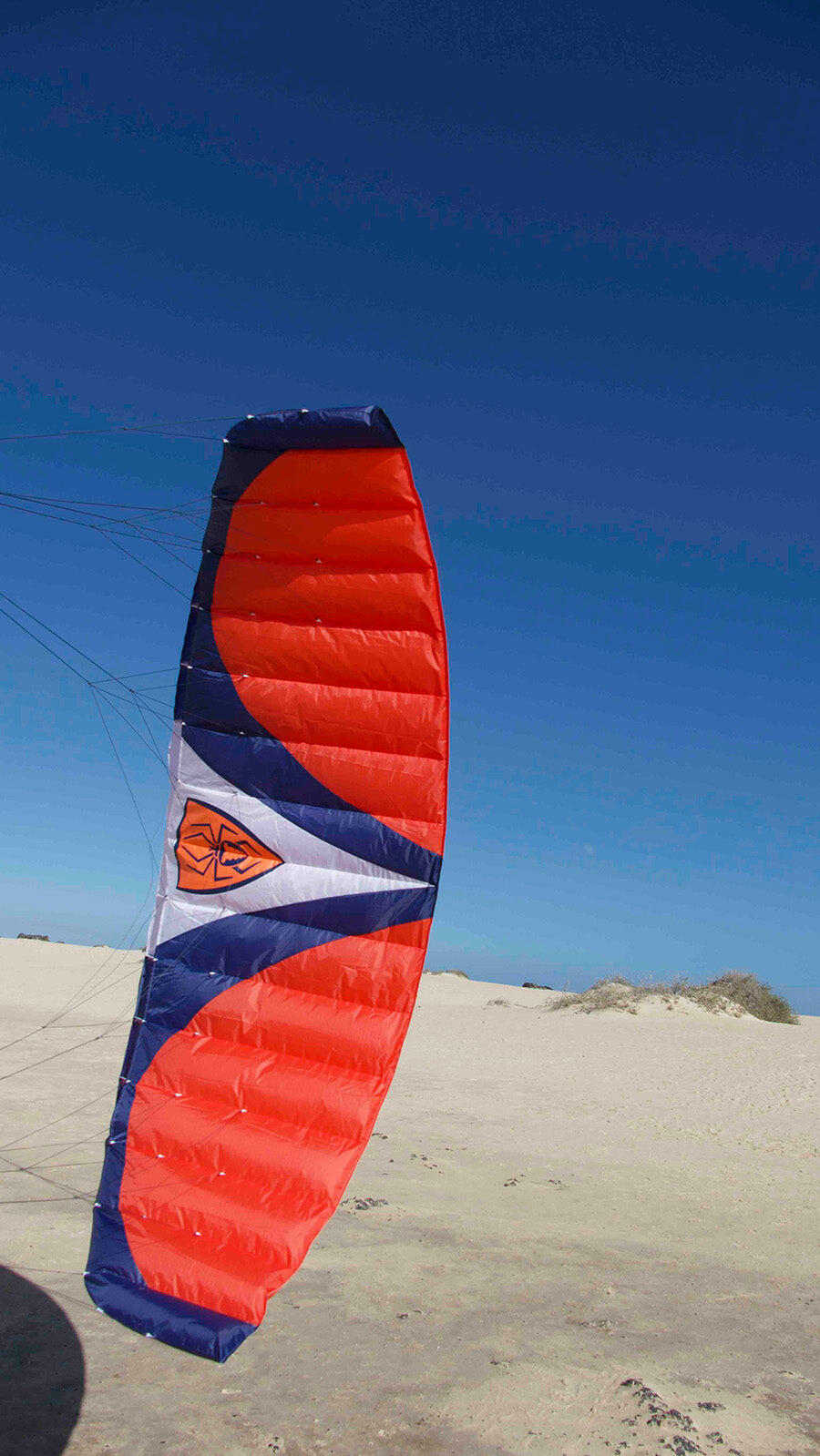 Lenkmatten Spiderkites Wasabi 2.4 10624 Orange 240 x 77 cm 6/7