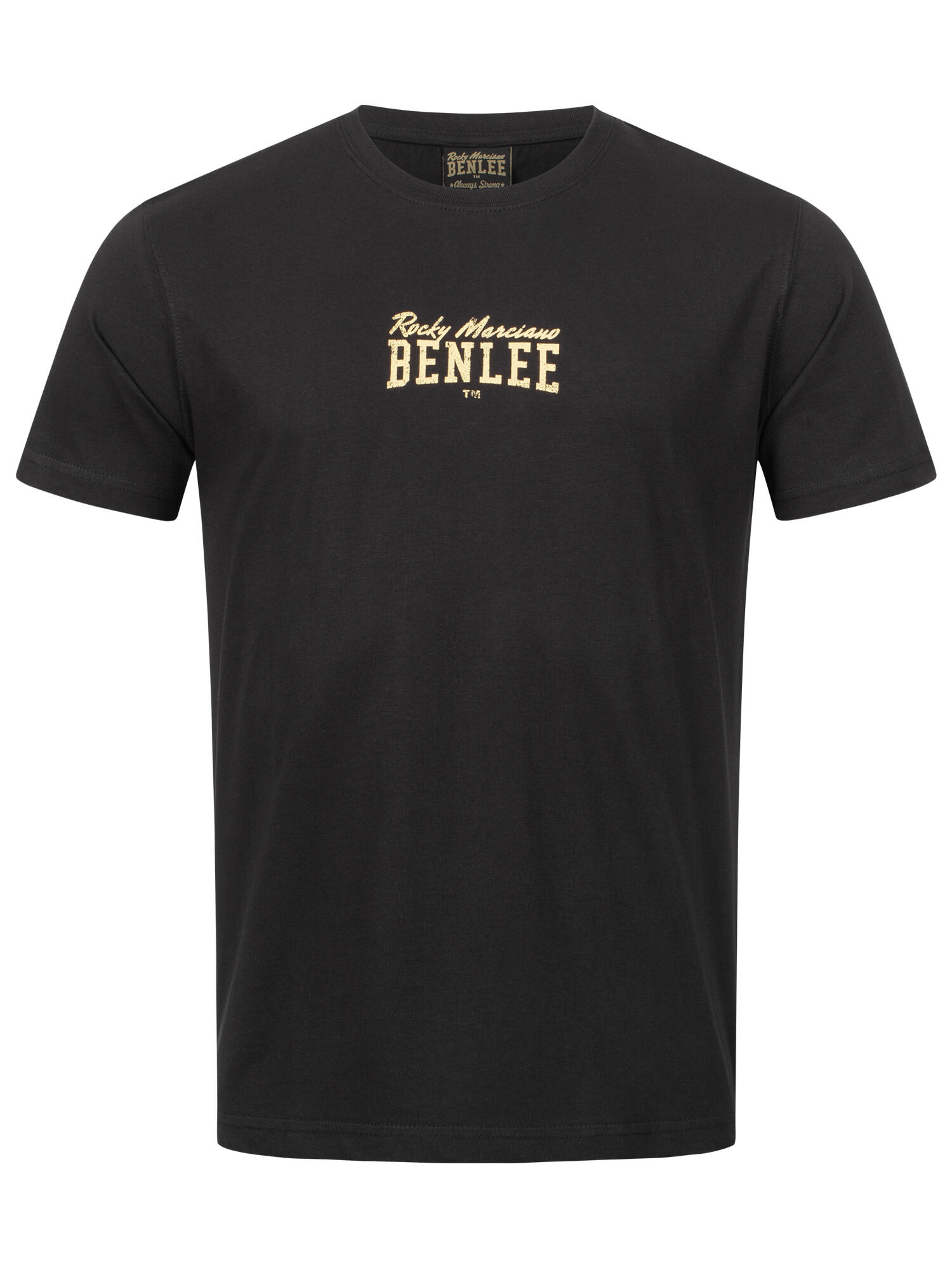 BENLEE Heren-T-shirt normale pasvorm KILAAS 2/6