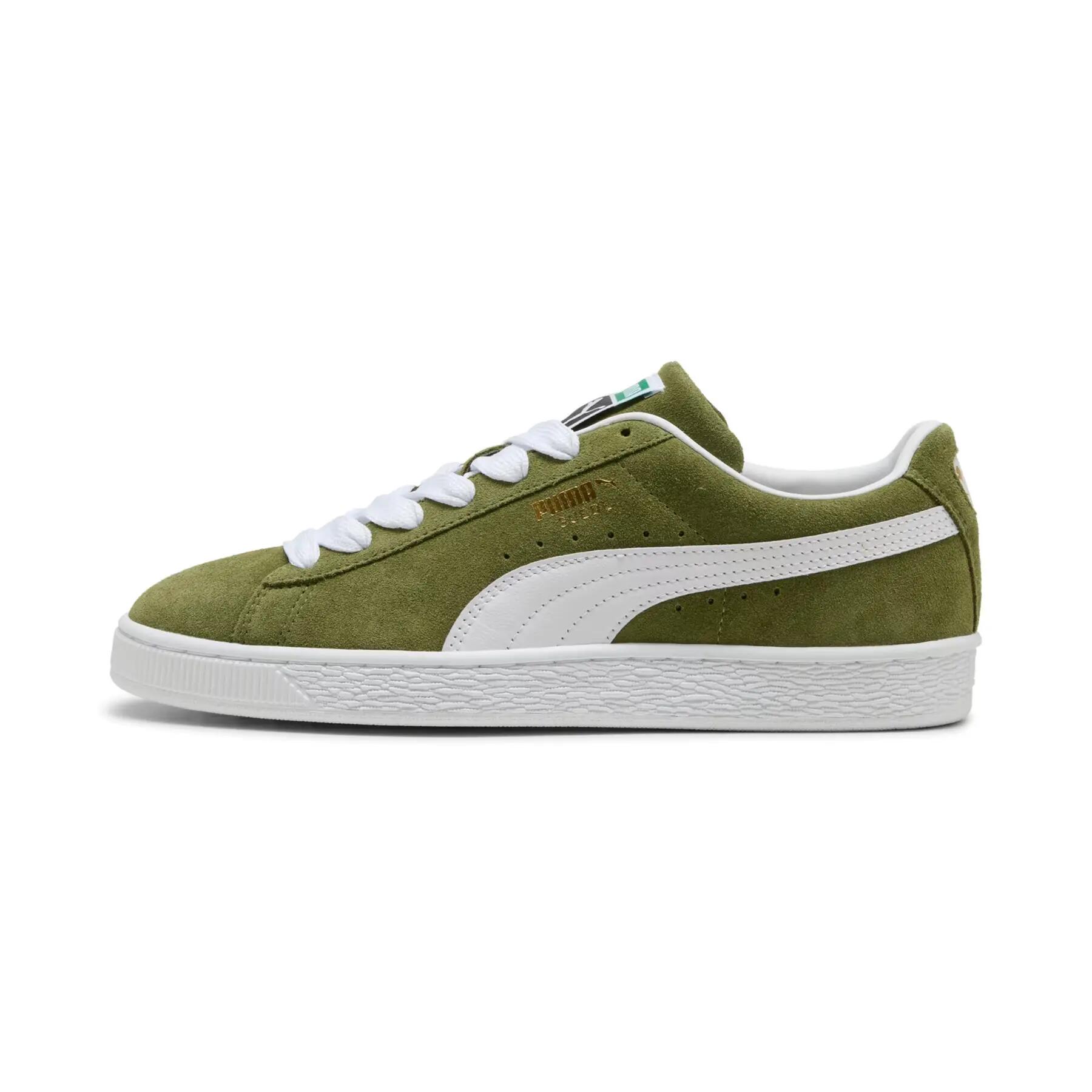 PUMA picture