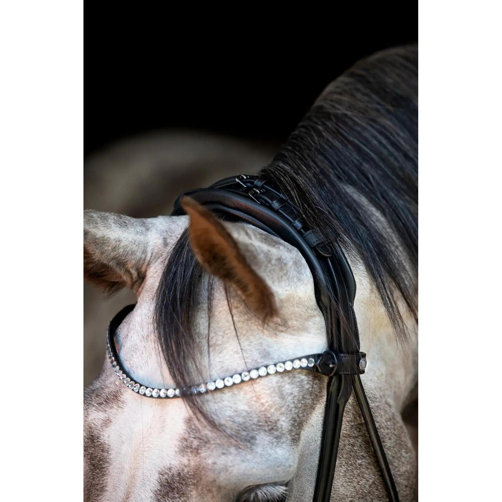 Bridones de equitación para caballo anatómico Catago Nival 26.1 3/5