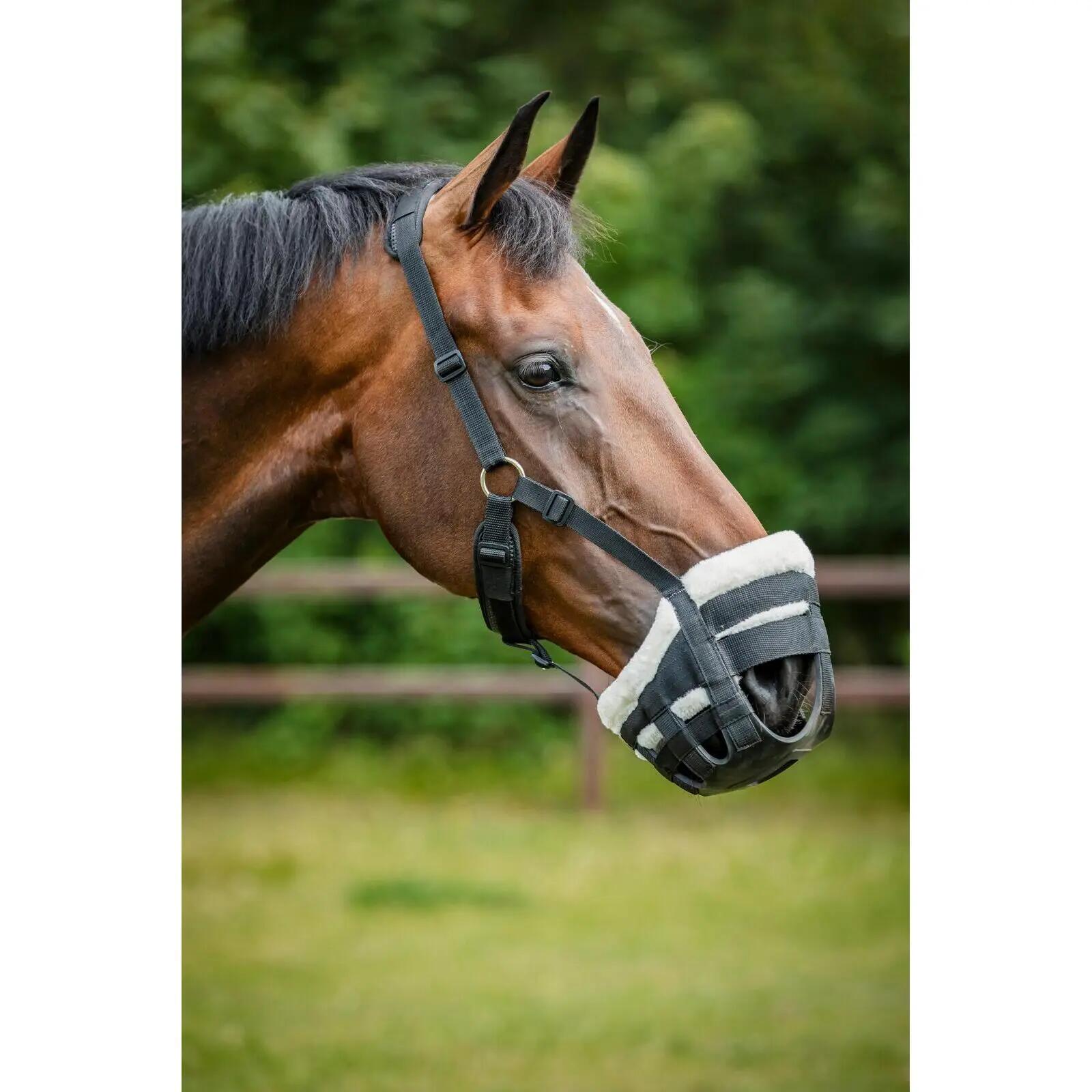 Muselière do pastwiska dla konia HorseGuard Easy Breathe 3/4