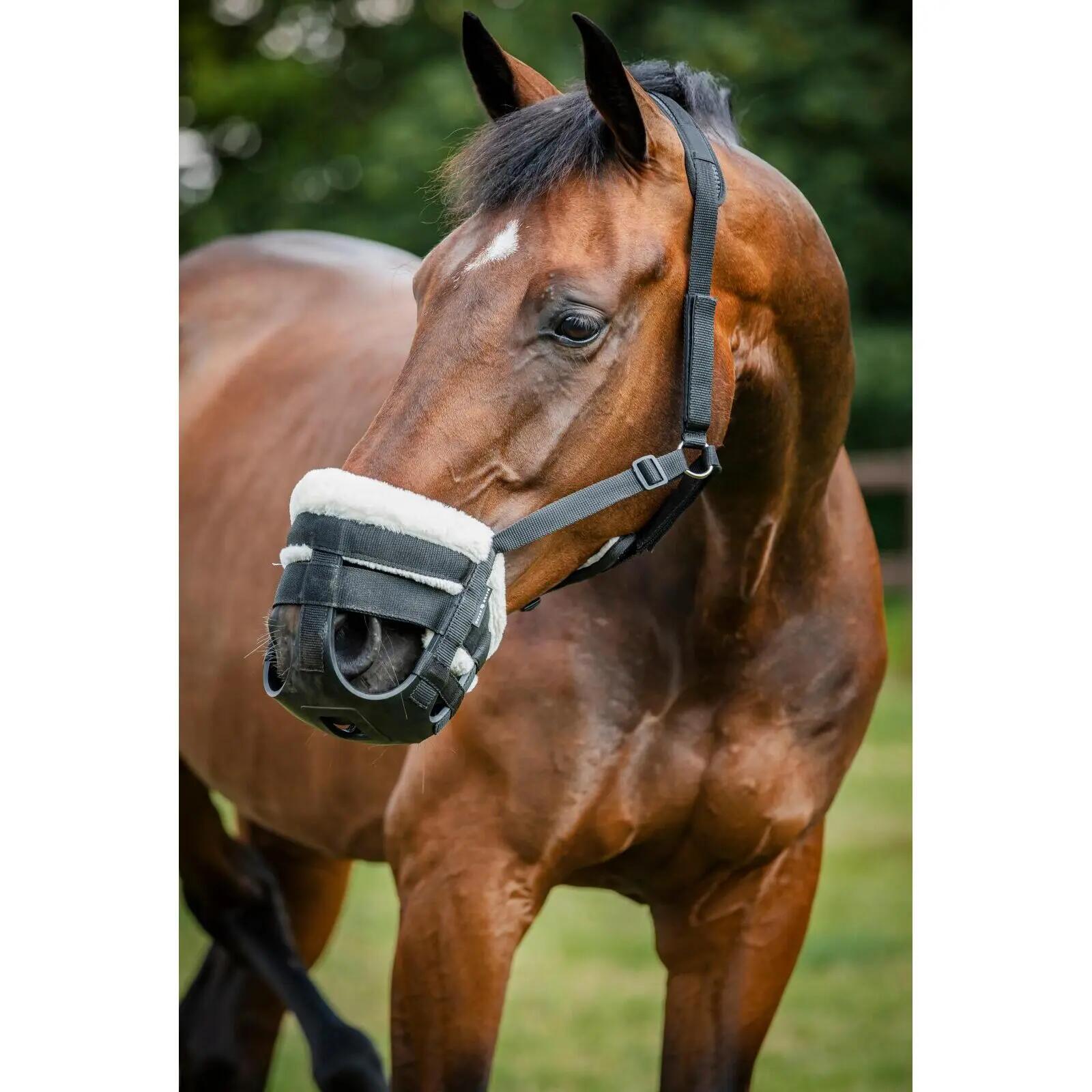 Muselière do pastwiska dla konia HorseGuard Easy Breathe 2/4