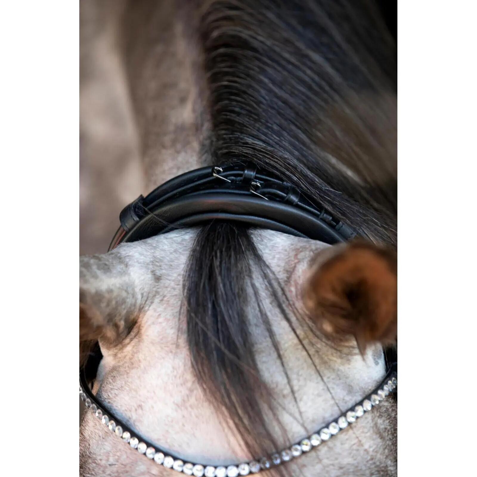 Bridones de equitación para caballo anatómico Catago Nival 26.1 4/5