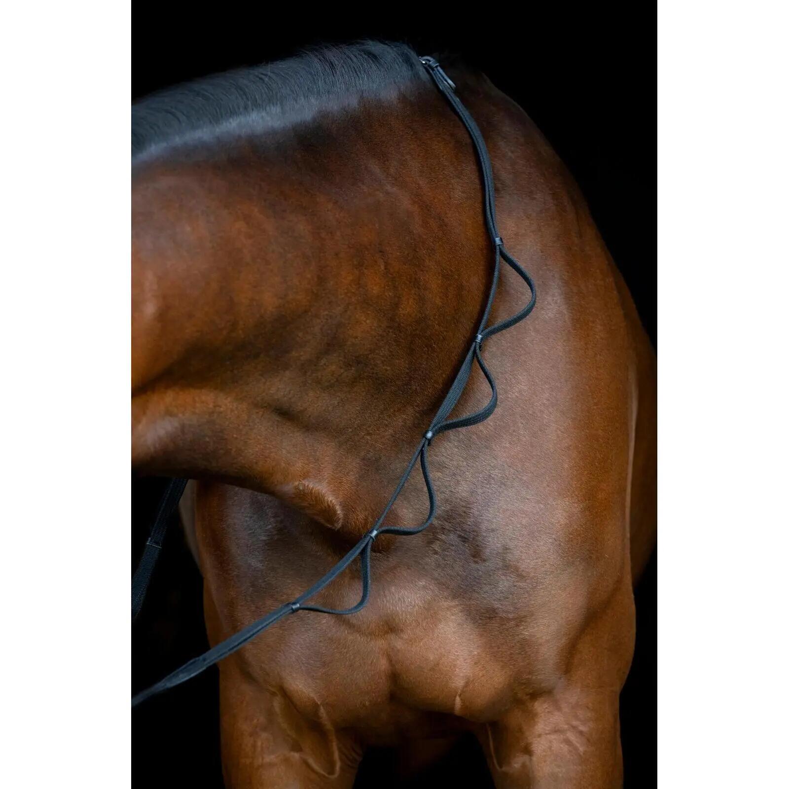 Rênes pour cheval HorseGuard Loop 3/4