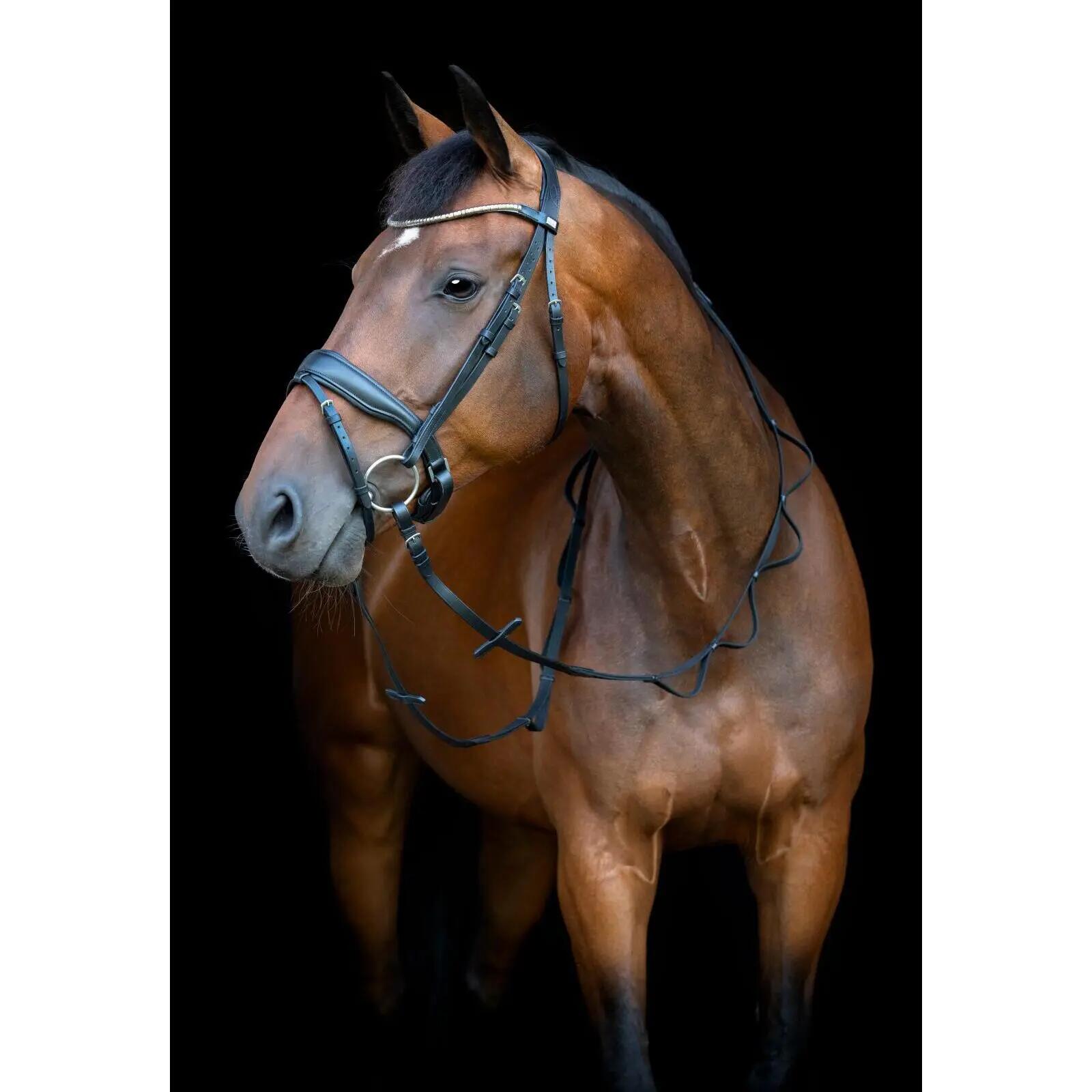 Rênes pour cheval HorseGuard Loop 2/4
