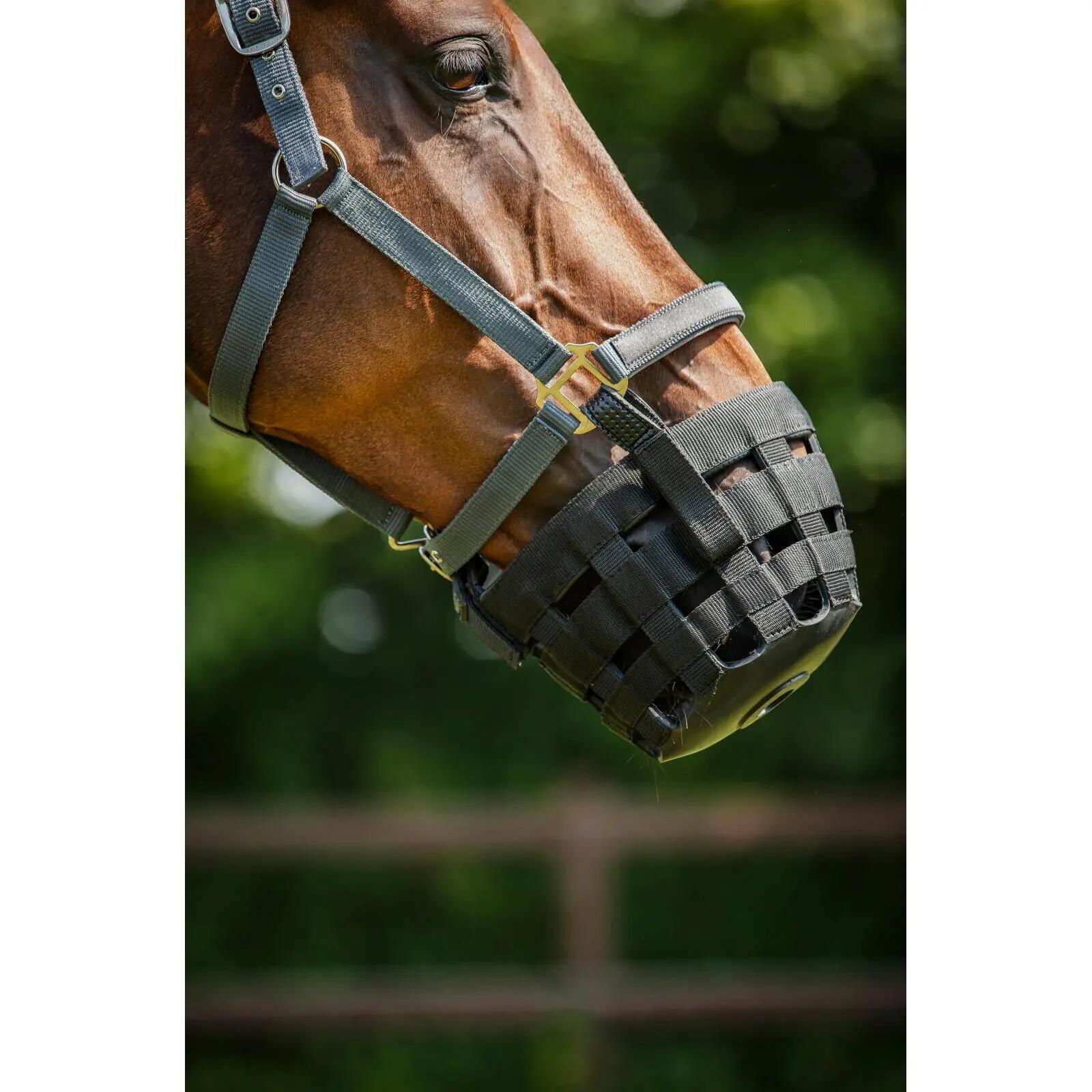 Muselière pour cheval de pâturage avec licol HorseGuard 3/3