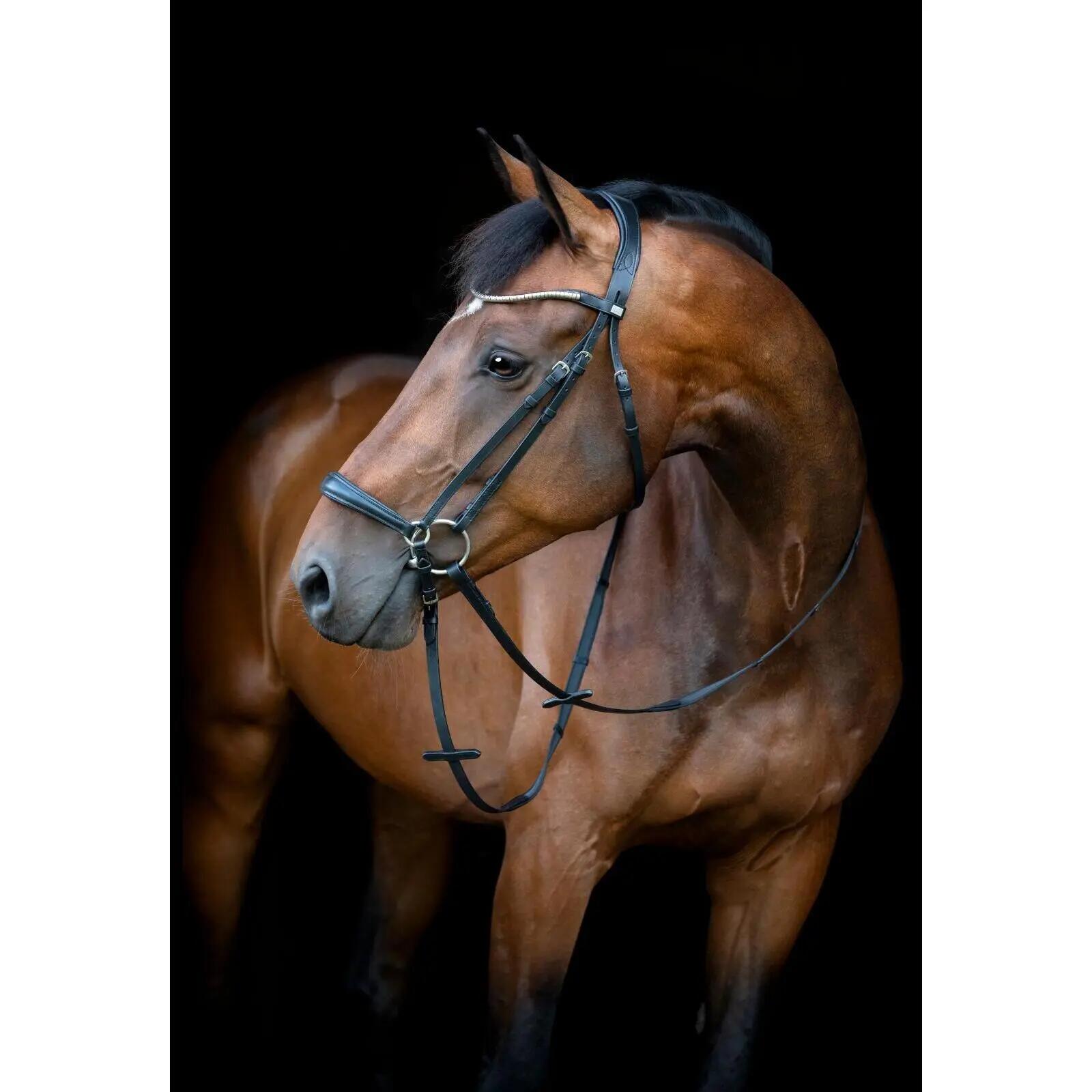 Cabezada combinada con muserola HorseGuard Cryll 26.1 2/5