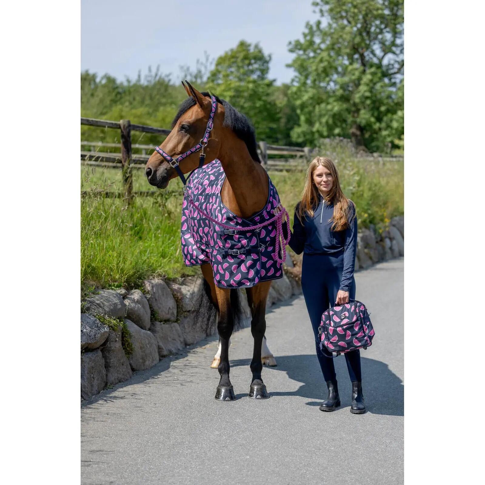 Manta de exterior para caballos HorseGuard Melona 0g 3/5