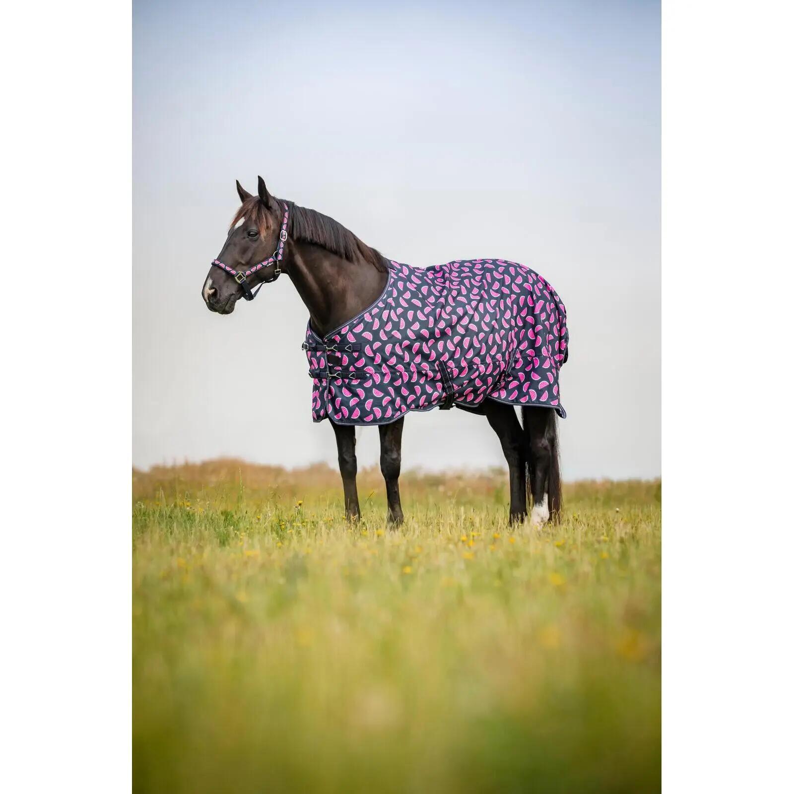 Manta de exterior para caballos HorseGuard Melona 0g 2/5