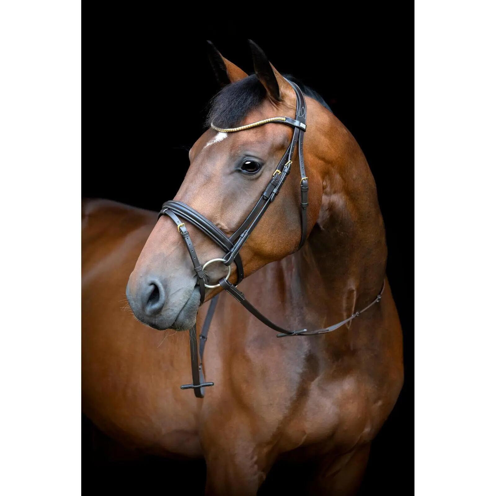 Cabezada combinada con muserola HorseGuard Emi 26.1 2/5