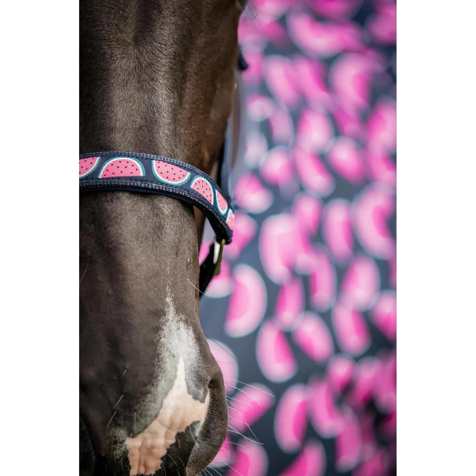 Kantar dla koni HorseGuard Melona 5/5