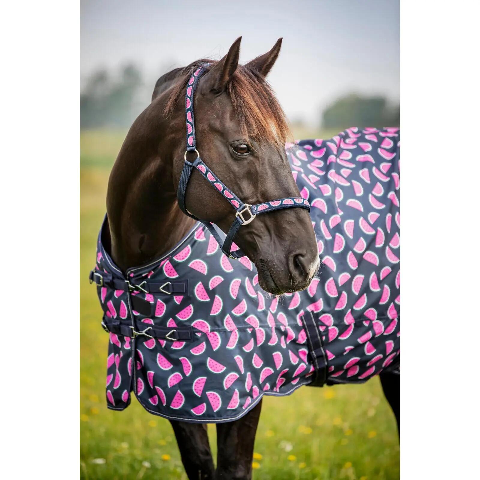 Manta de exterior para caballos HorseGuard Melona 0g 4/5