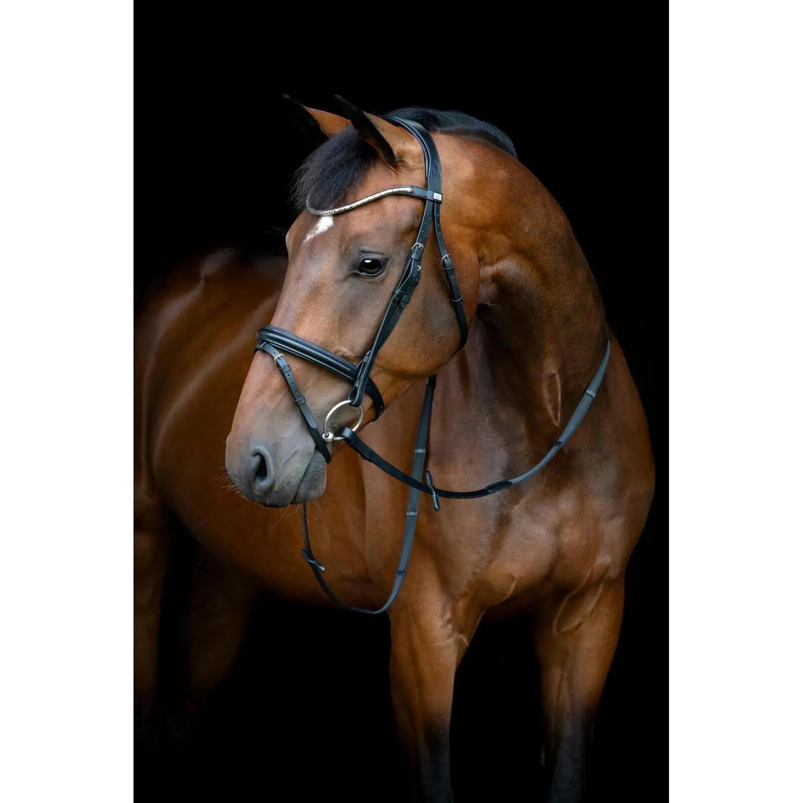 Cabezada combinada con muserola HorseGuard Emi 26.1 3/3