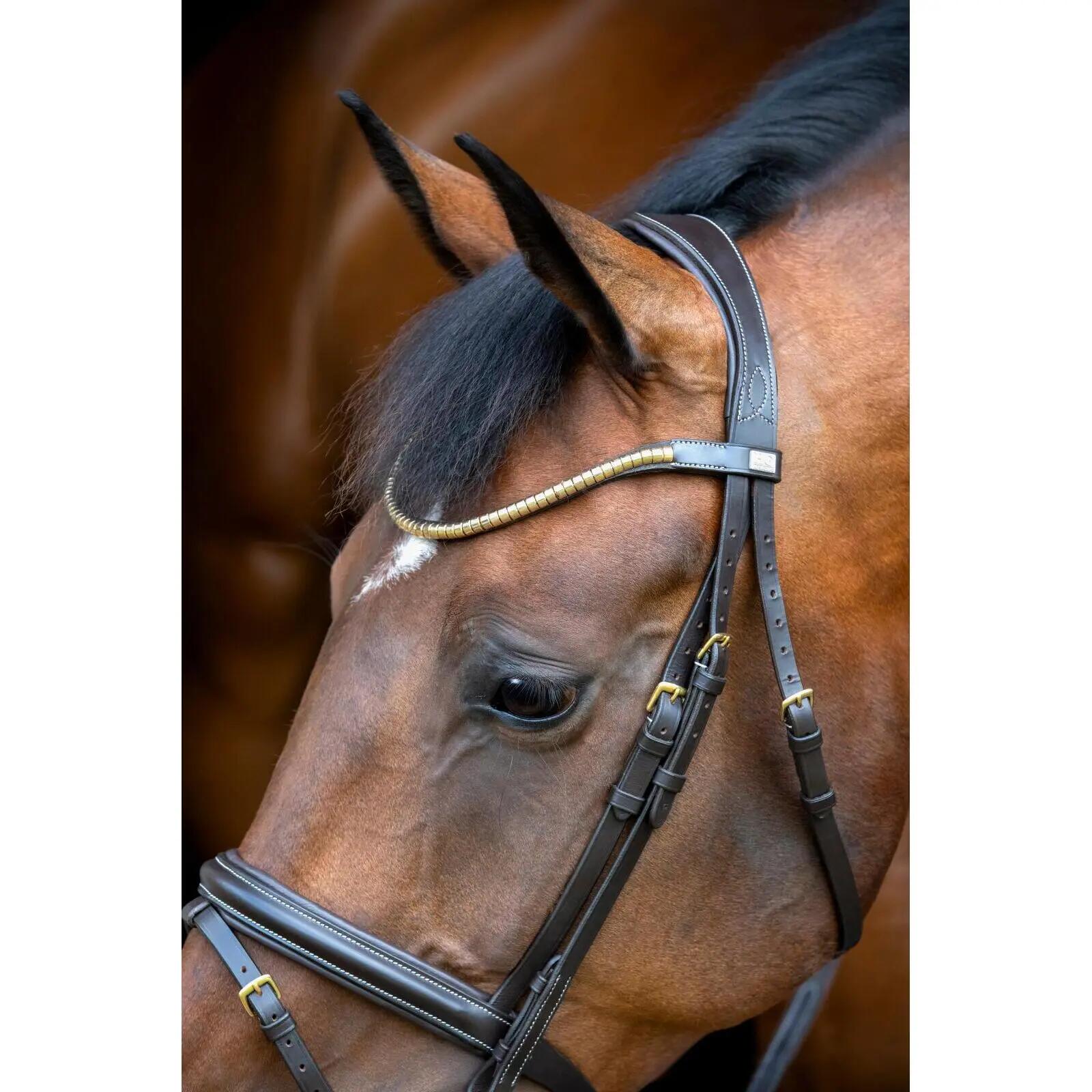 Briglia combinata da equitazione con nasello HorseGuard Emi 26.1 4/5