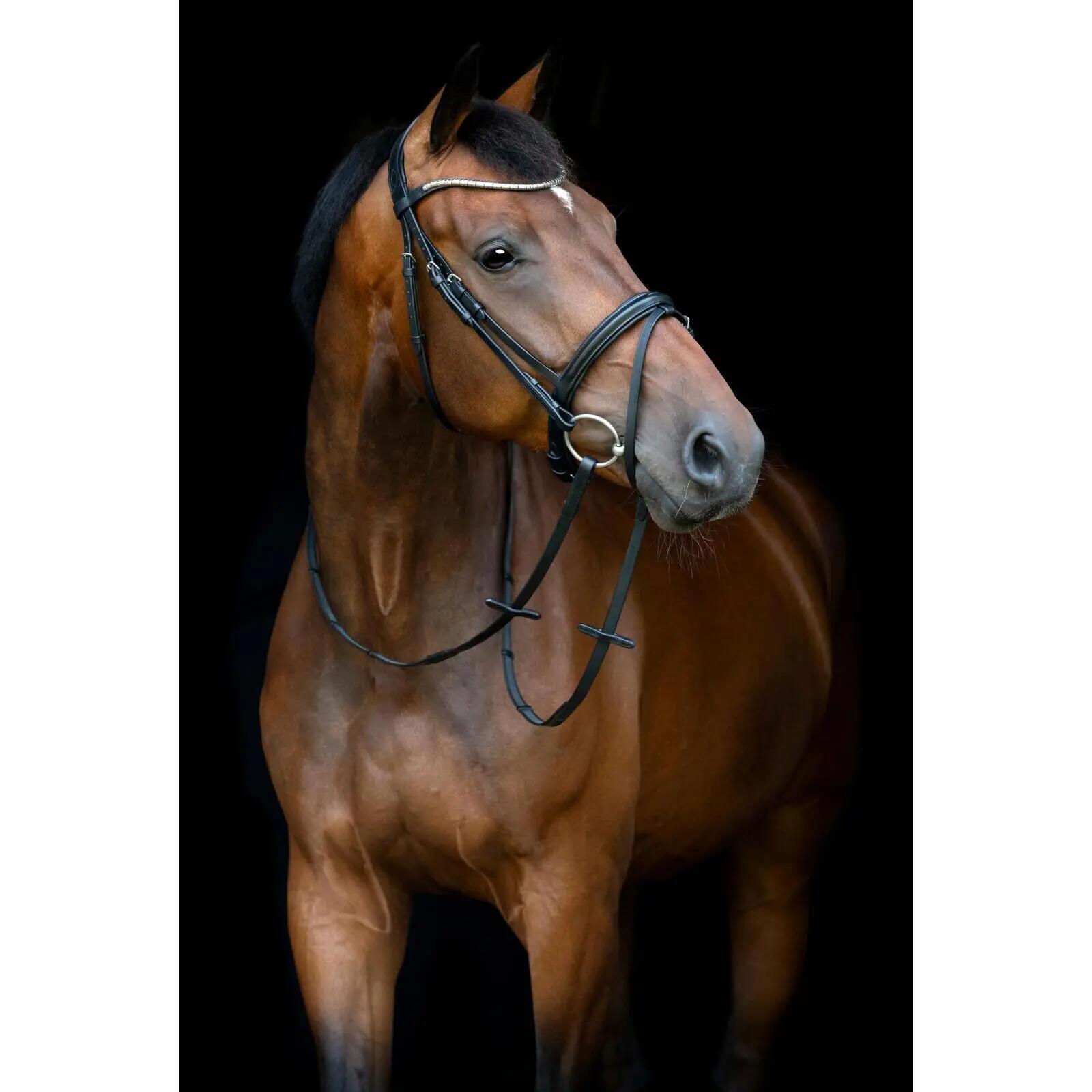 Cabezada combinada con muserola HorseGuard Emi 26.1 2/3