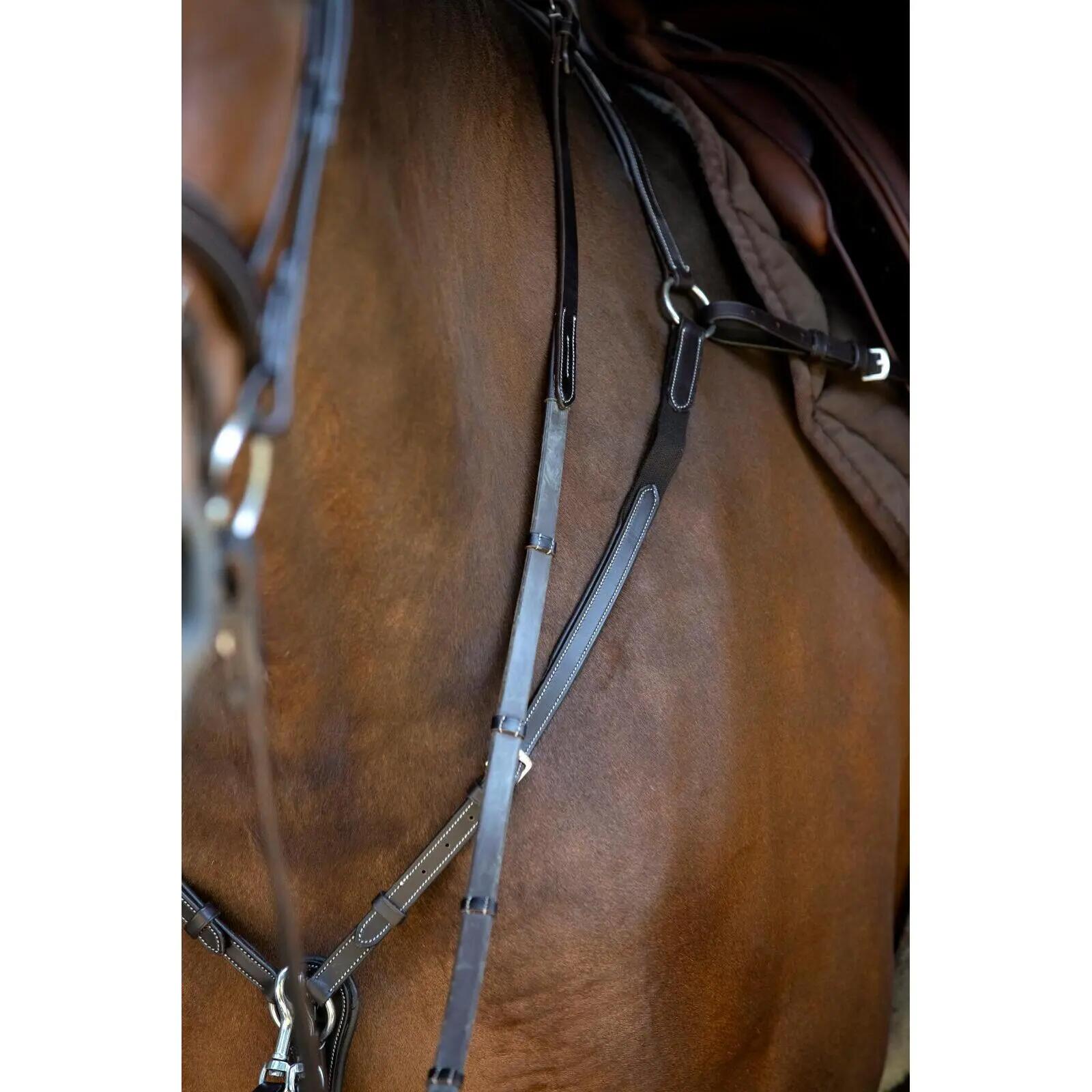 Collar de caza para caballos Catago 3/5