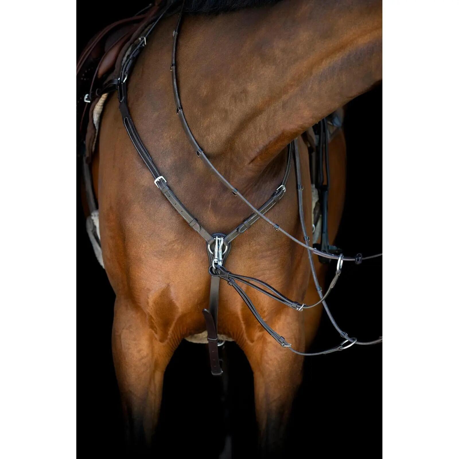 Collar de caza para caballos Catago 4/5