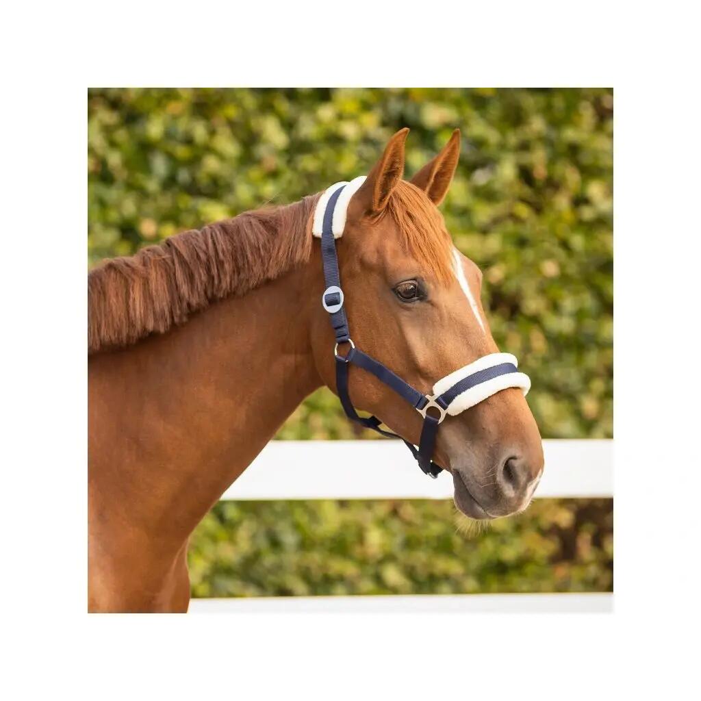 Licol pour cheval Q-essentials Cali 2/3
