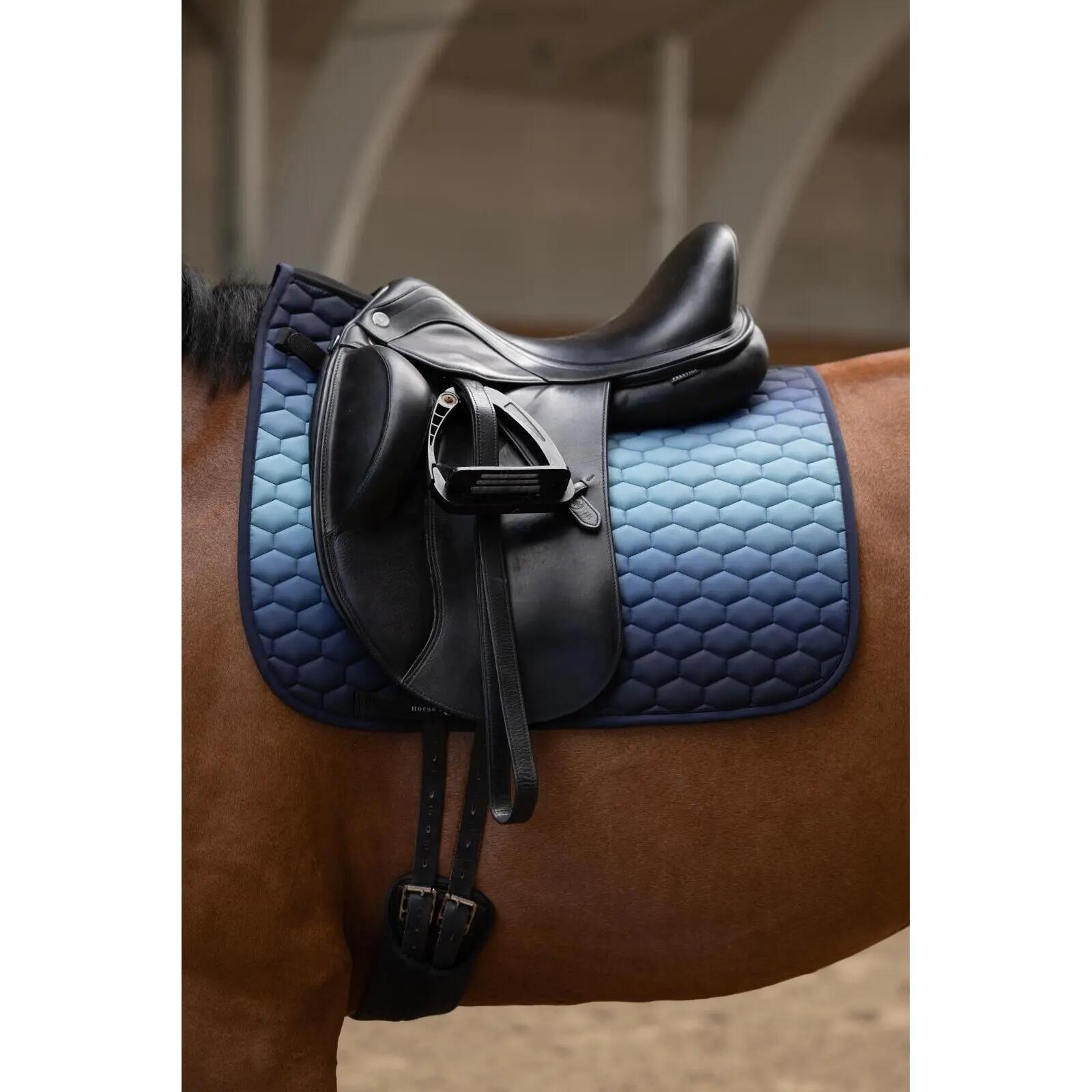 Mantilla para caballos HorseGuard Alma 2/2