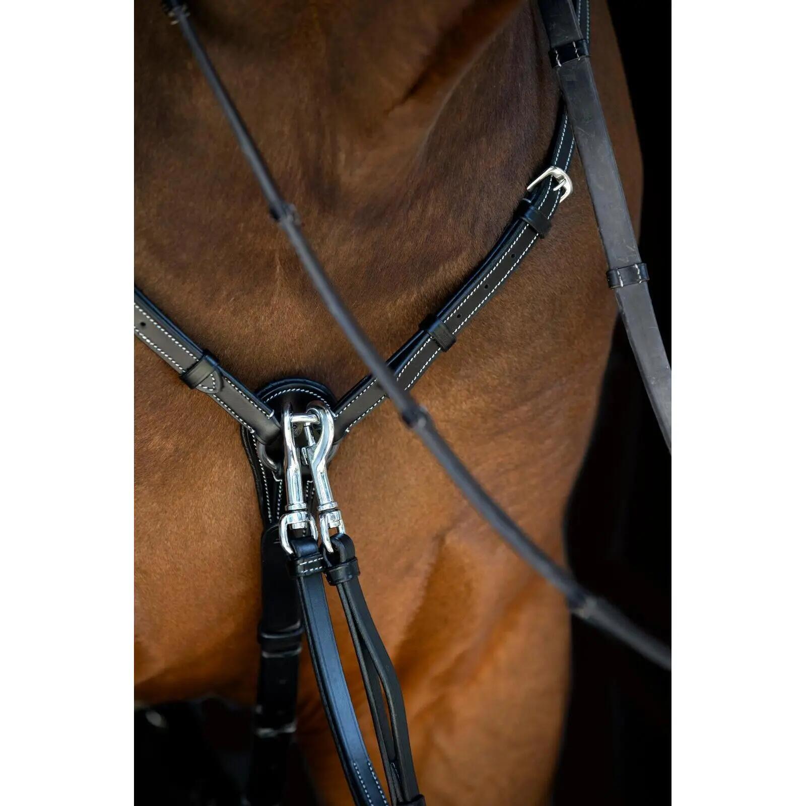 Collar de caza para caballos Catago 2/3