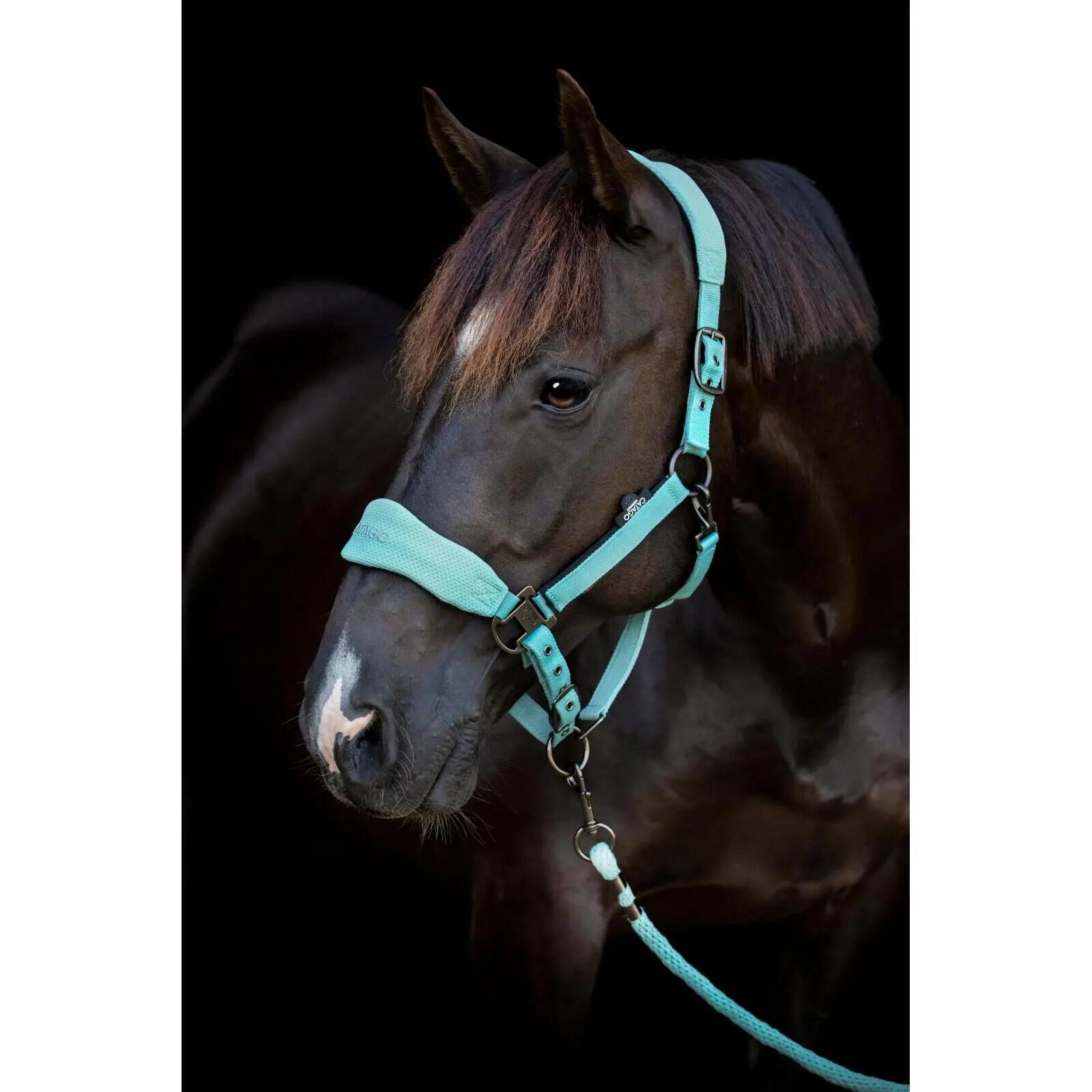 Cabezada de nylon para caballo Catago FIR-Tech 5/5
