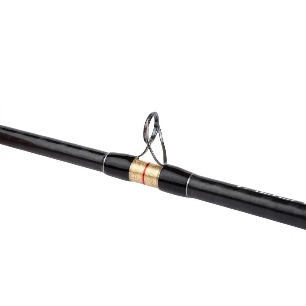 Cane boat Shimano Talica Trolling Lite 5/6
