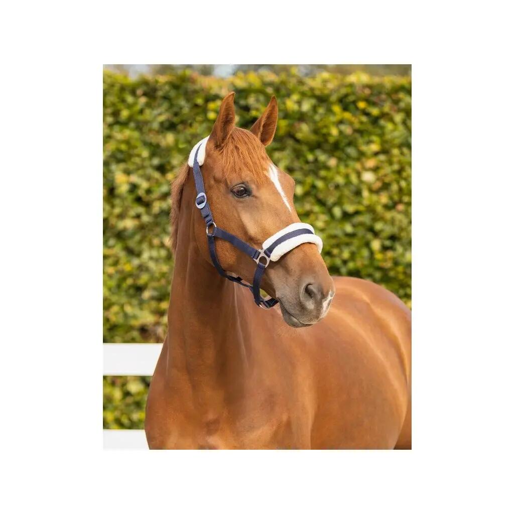 Halster voor paarden Q-essentials Cali 3/3