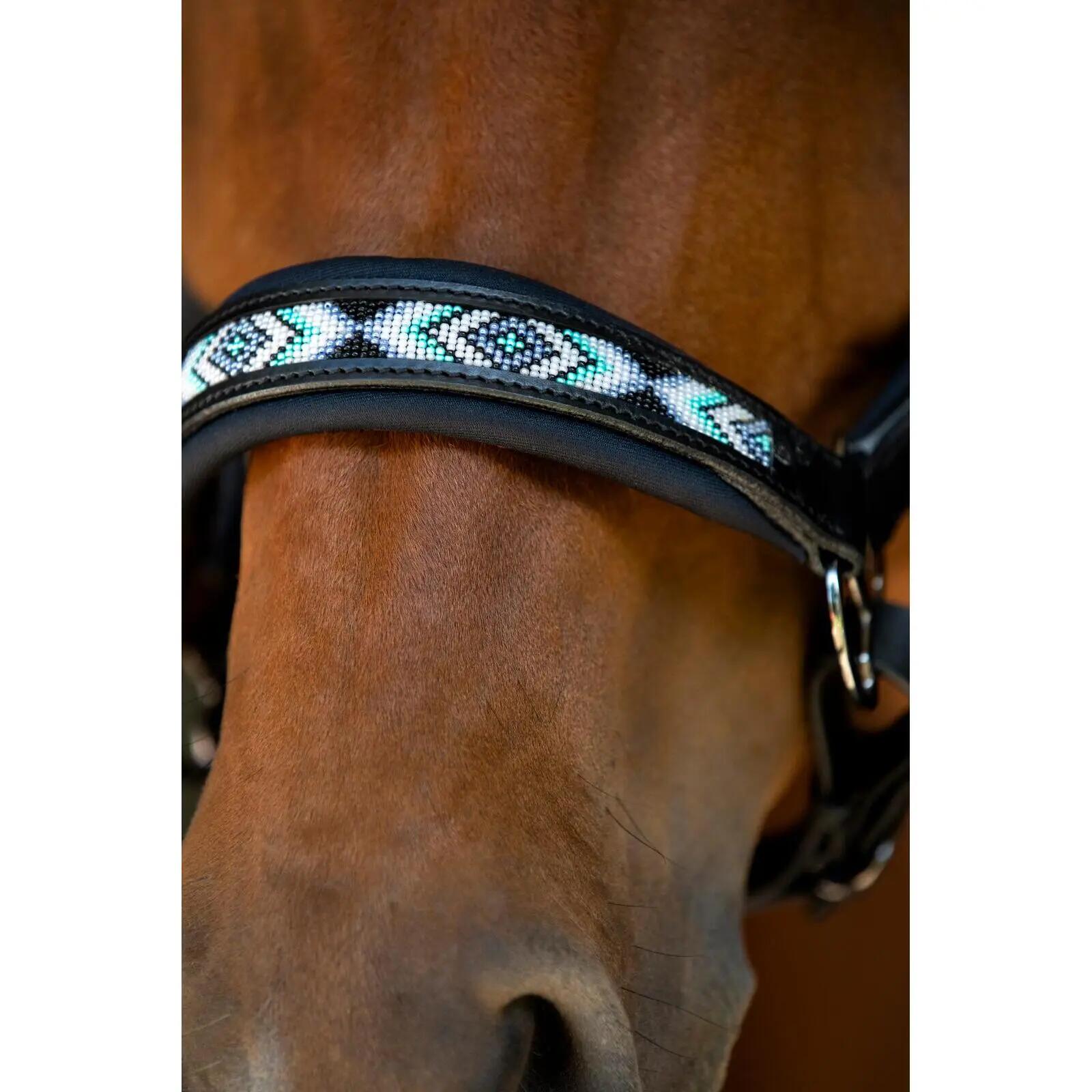 Cabestro de cuero para caballos Catago Anamo 3/4