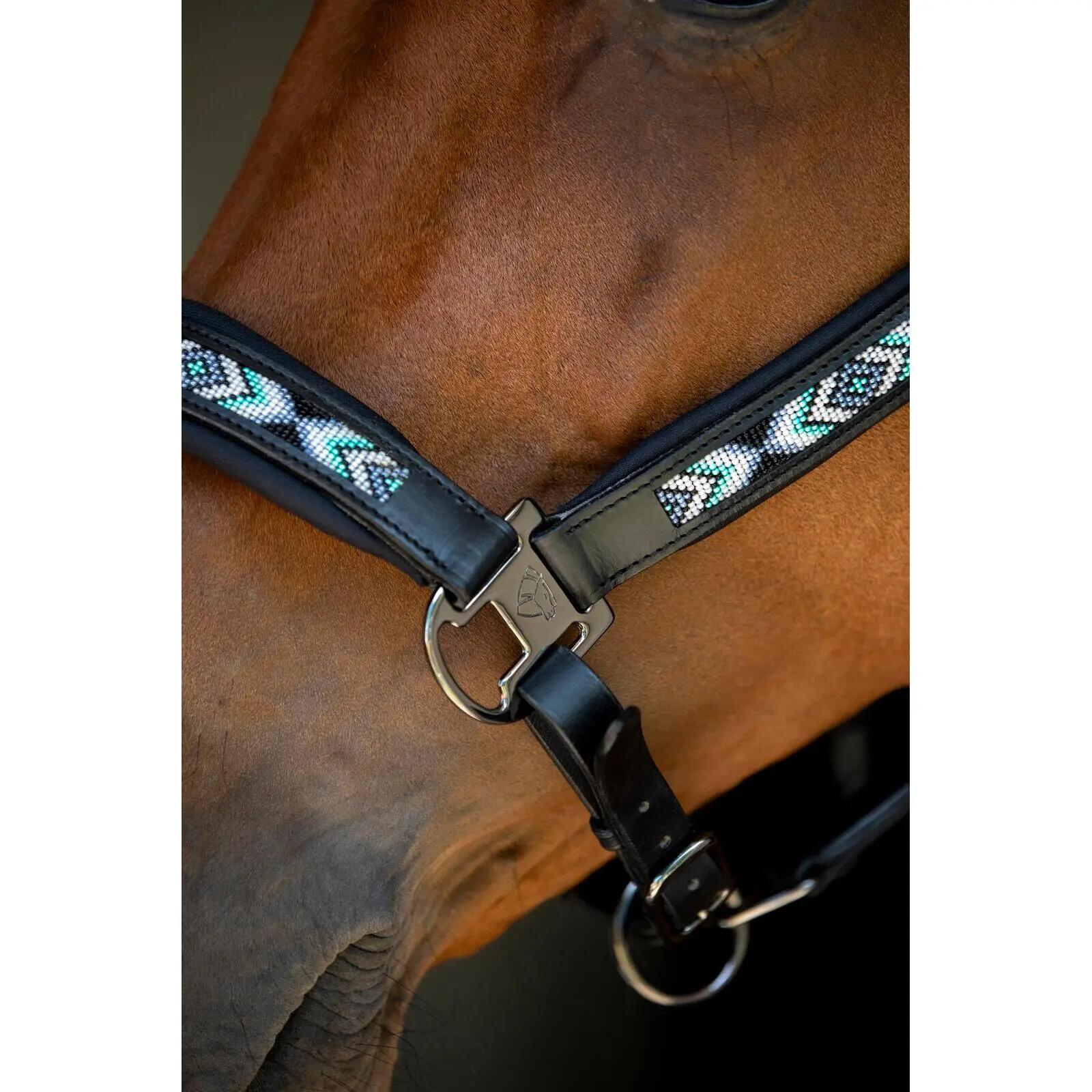 Cabestro de cuero para caballos Catago Anamo 4/4