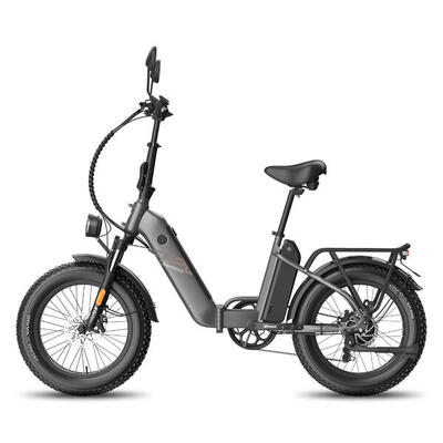Bicicletta elettrica pieghevole Fafrees FF20 Polar doppia batteria da 24 Ah