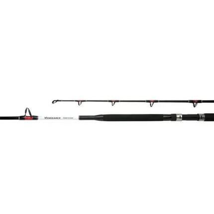 Angelrute Shimano Vengeance standup 1
