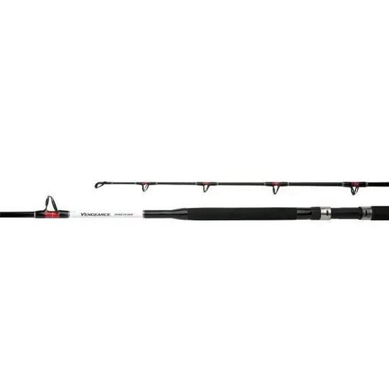 Angelrute Shimano Vengeance standup 1