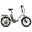 FAFREES F20 Flex Commuter EBike - Baterie 36V 25Ah