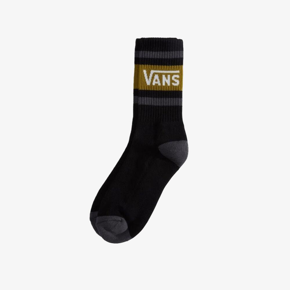 VANS picture