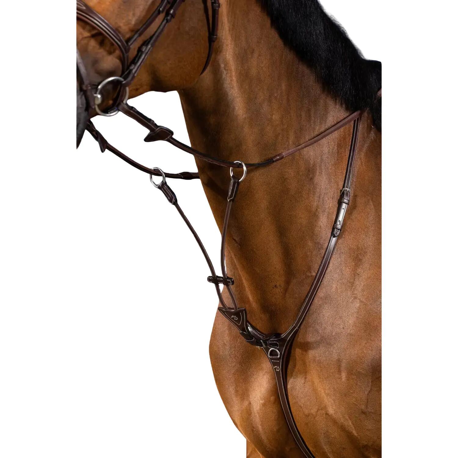 Fourche de martingale à anneaux elastique Dy'on 2/2