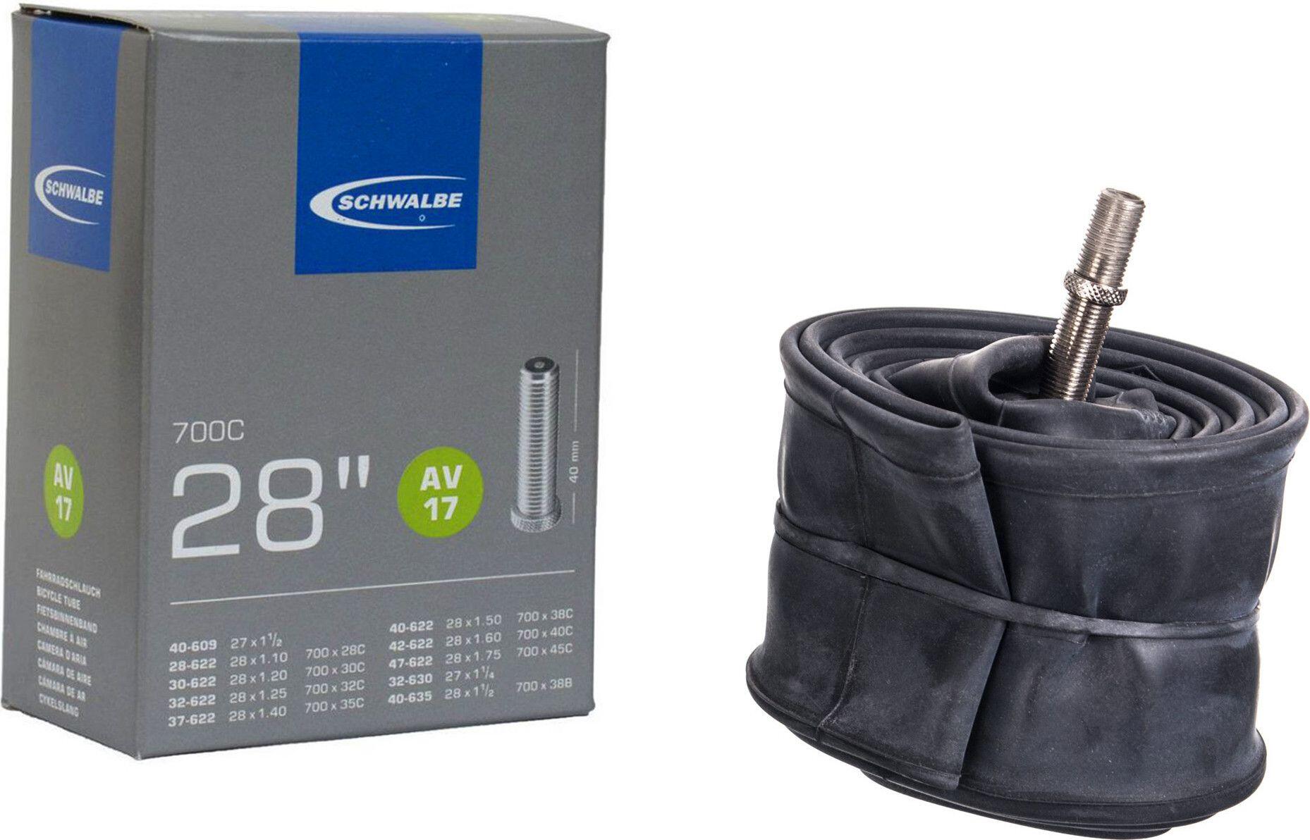 SCHWALBE picture