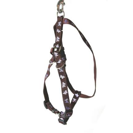 Harnais pour chien Arka Haok