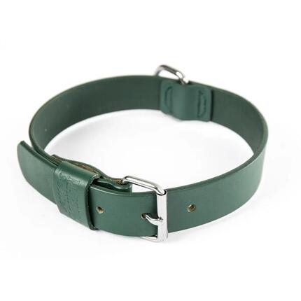 Collier pour chien Martin Sellier Bords