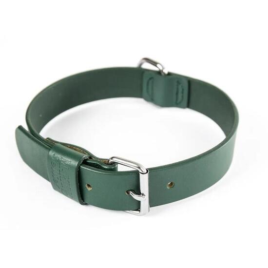 Collier pour chien Martin Sellier Bords