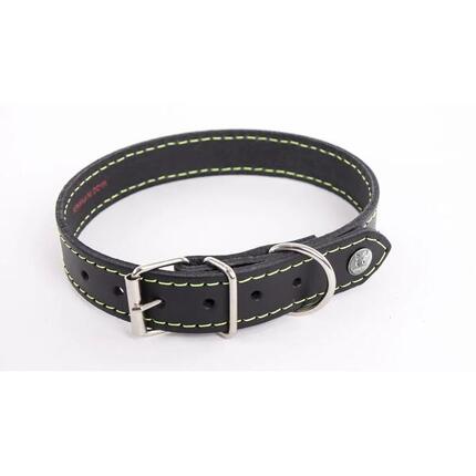 Collier pour chien Martin Sellier Flash