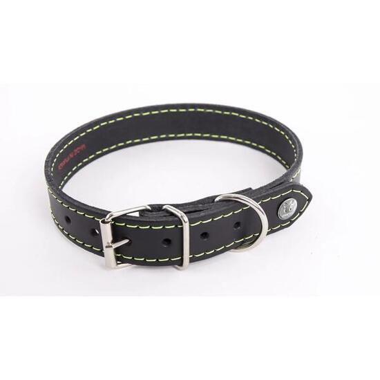 Collier pour chien Martin Sellier Flash