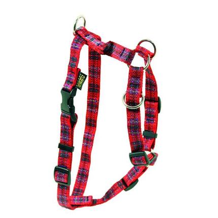 Harnais pour chien Arka Haok