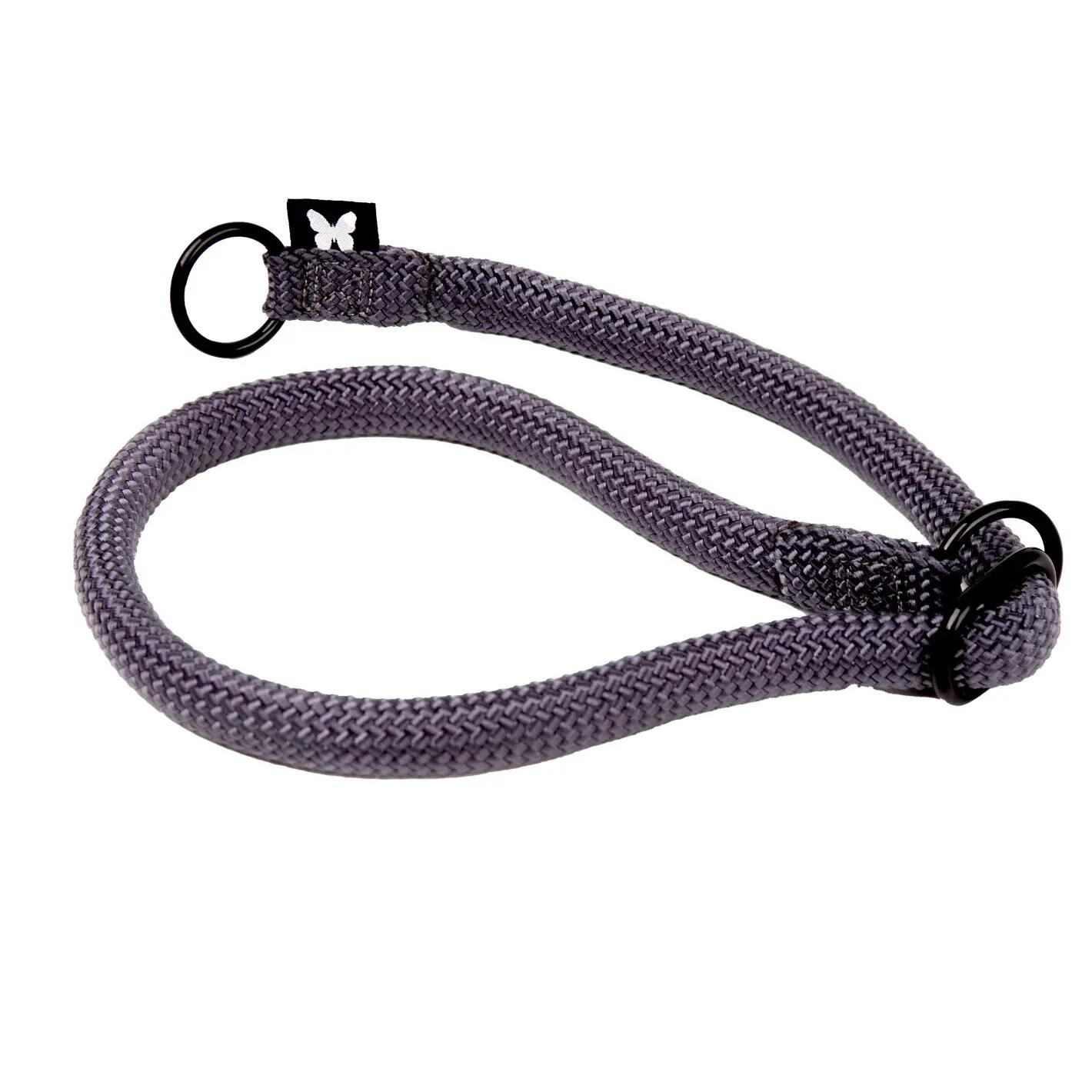 Collier pour chien Martin Sellier Educ 1/1