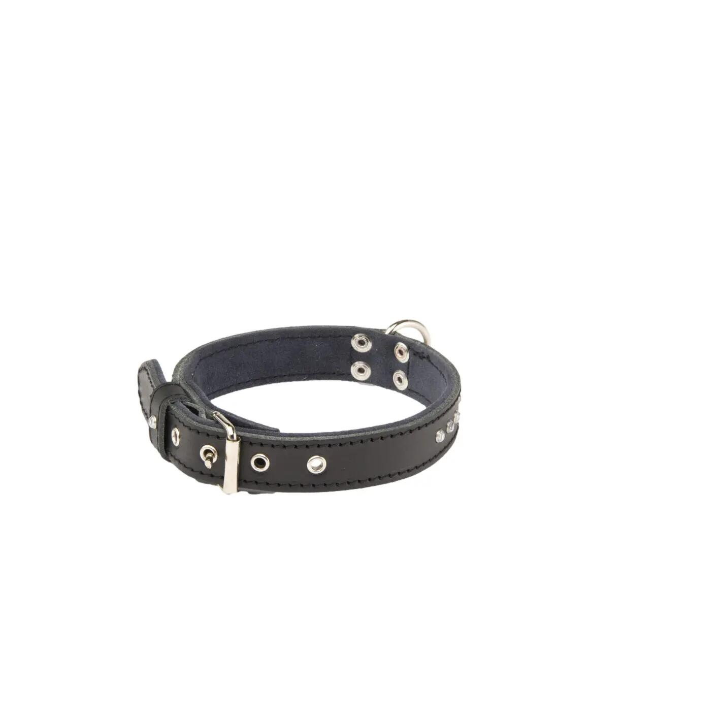 Collier pour chien Martin Sellier Class 1/1