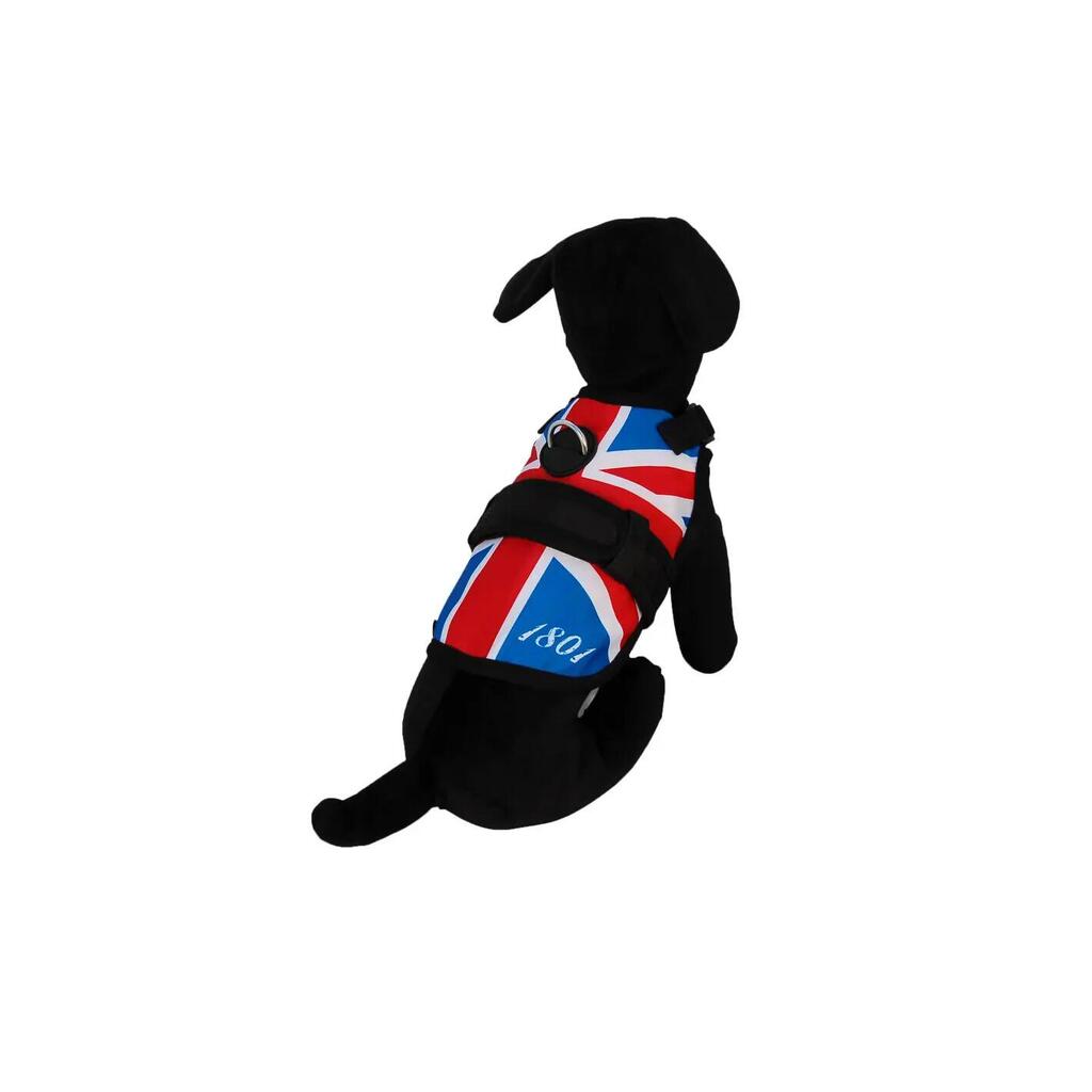 Dog harness Avant-garde British