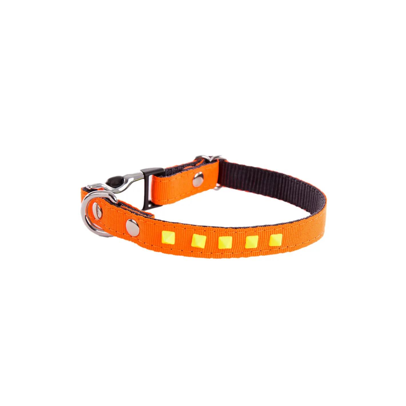 Collare per cani Martin Sellier Fluo 1/1